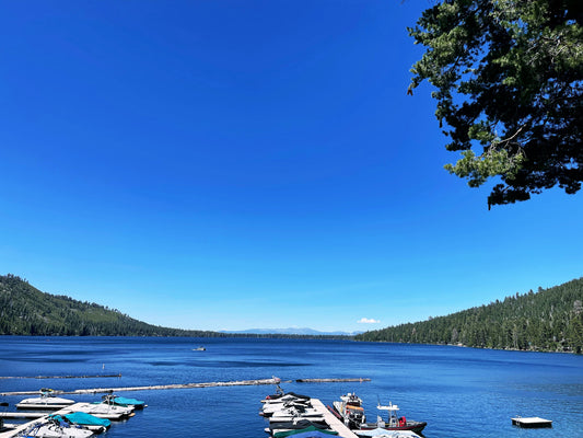 Is Summer Solitude a thing?