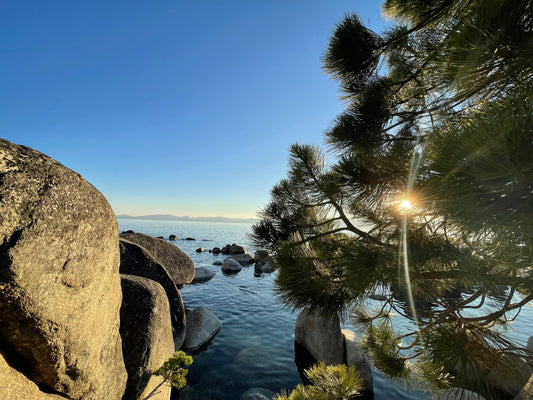 New Year, New Goals!